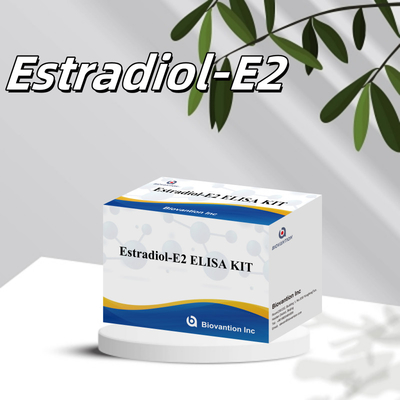 Biovantion Estradiol Quantitative 96-Well Plate Test Kit dla próbek surowicy o zwiększonej wrażliwości