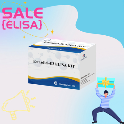 Biovantion Estradiol Quantitative 96-Well Plate Test Kit dla próbek surowicy o zwiększonej wrażliwości