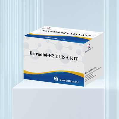 Biovantion Estradiol Quantitative 96-Well Plate Test Kit dla próbek surowicy o zwiększonej wrażliwości