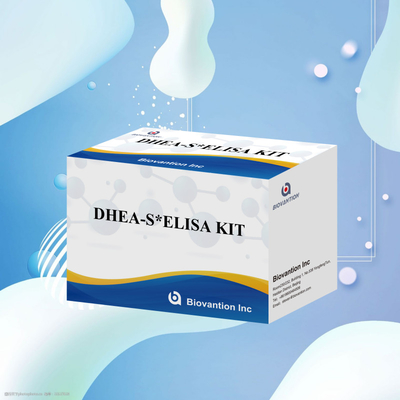 Biovantion Test Dehydroepiandrosteronesulfate DHEA-S Sensitive Elisa Test Kit
