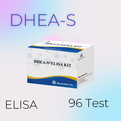 Biovantion Test Dehydroepiandrosteronesulfate DHEA-S Sensitive Elisa Test Kit