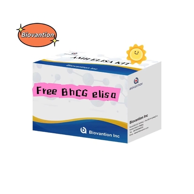 Bezpłatny zestaw do badań BHCG Elisa Serum Przechowywanie 2- 8. C Osiemnaście dni trwałości