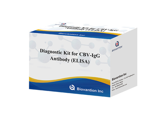 Zestaw diagnostyczny dla przeciwciał CBV-IgG zestaw badawczy ELISA zestaw badawczy serum