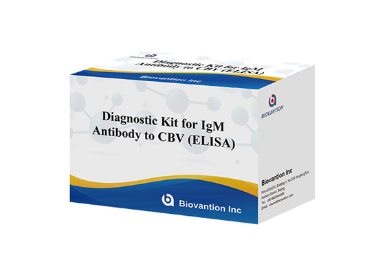Zestaw diagnostyczny dla przeciwciał IgM do CBV zestaw testowy Elisa 50 μL serum Diagnostyka medyczna