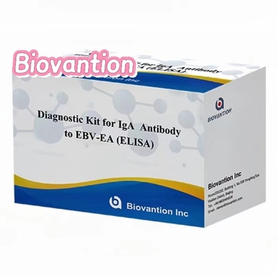 EBV-EA Elisa Test Kit Diagnostyczny zestaw dla IgA przeciwciała wysokiej dokładności