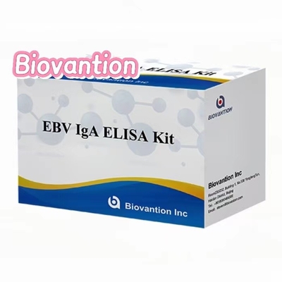 Przeciwciało IgA do EBNA1 Elisa Test Kit Serum 50μL Format zestawu próbek