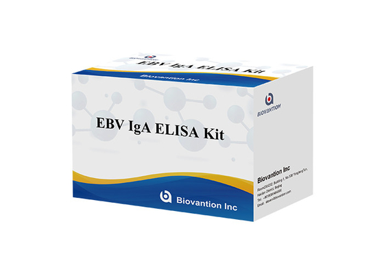 Przeciwciało IgA do EBNA1 Elisa Test Kit Serum 50μL Format zestawu próbek