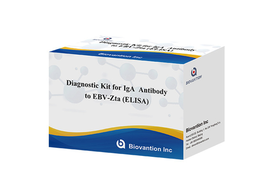 Zestaw diagnostyczny przeciwciał IgA do EBV-Zta ELISA TEST KIT Zestaw badawczy immunosorbent