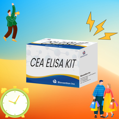 CE Approval for Human Use CEA Quantitative Elisa Test Kit Test krwi lub surowicy 96T