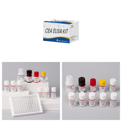 CE Approval for Human Use CEA Quantitative Elisa Test Kit Test krwi lub surowicy 96T
