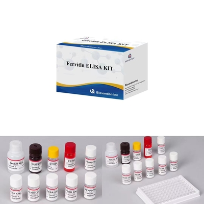 Ferritin IVD Elisa Konserwator dla zwierząt do próbki osocza