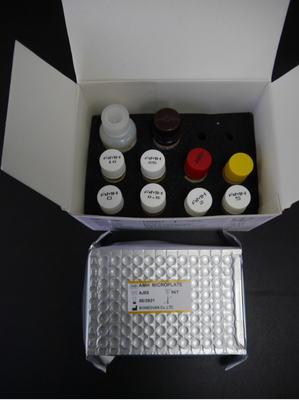 Zestaw badawczy AMH ELISA 3 godziny 18 miesięcy Czas trwania z CE ISO13485
