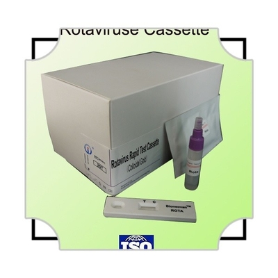 IVD Rotavirus Rapid Cassette Kolloidal Gold Rapid Test for Hospital Diagnosis 2-30C Czas trwania 24 miesiące