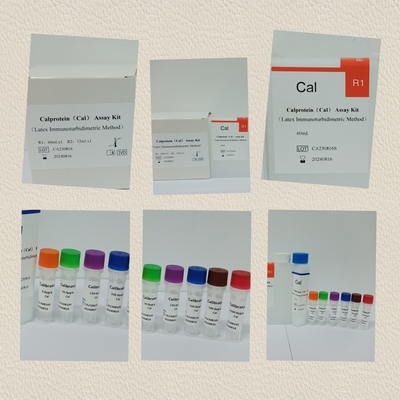 Zestaw badawczy kalprotein Cal Quantitative Human Diagnostic Detect Reagent Kit