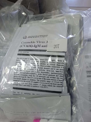 Wirus Coxsackie A16 CVA16-IgM Kaseta przeciwciał Szybki test Serum Szybki test Profesjonalny