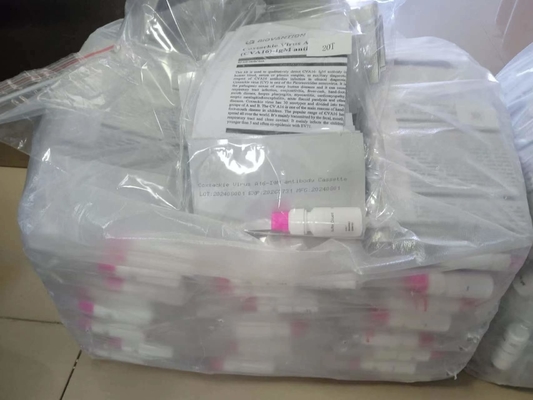 Wirus Coxsackie A16 CVA16-IgM Kaseta przeciwciał Szybki test Serum Szybki test Profesjonalny