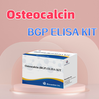 Zestaw detekcji dla osteokalcyny BGP dla ludzi Reagens detekcji dla ludzkiej osocza plazmy