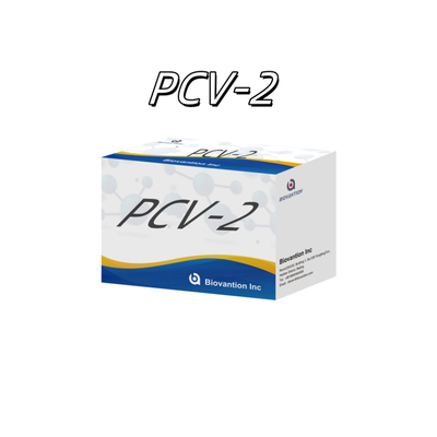Test WB/S/P PCV-2 ELISA na zwierzęce przeciwciała