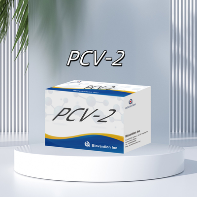 Test WB/S/P PCV-2 ELISA na zwierzęce przeciwciała