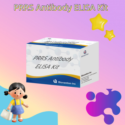Badanie ELISA na zwierzęce przeciwciała PRRSV Świńskie przeciwciała PRRS weterynaryjne