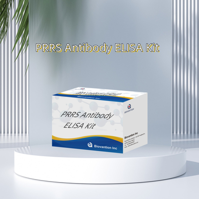 Badanie ELISA na zwierzęce przeciwciała PRRSV Świńskie przeciwciała PRRS weterynaryjne