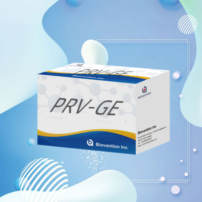 Zestaw do wykrywania przeciwciał PRV-GE