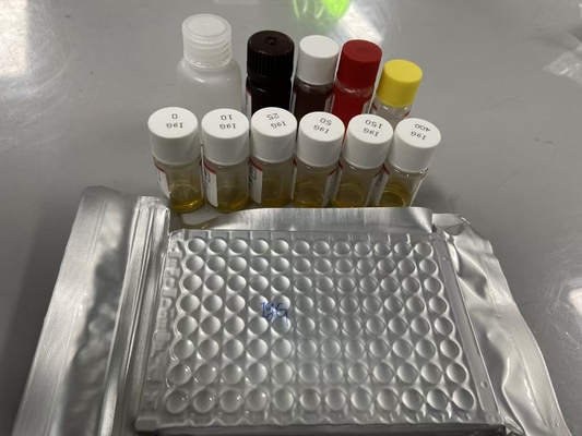 Szczur Bcl-2 Metodyka serum ELISA Rodzaj próbki Serum ELISA RUO Test Kit Z 98% specyficznością
