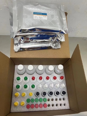 Utrzymanie przeciwciał przeciwko HCV Serum Elisa Pre Coated Elisa Kit 10 Well Plate