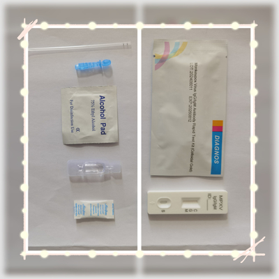 Diagnoza wirusa ospy małpiej MPXV Szybki i dokładny szybki test złota koloidalnego do łatwego testowania
