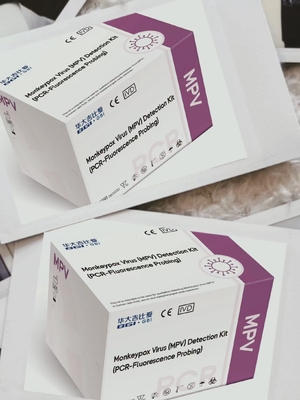 MPXV PCR Monkeypox Virus Wielokrotne wykrywanie PCR w czasie rzeczywistym