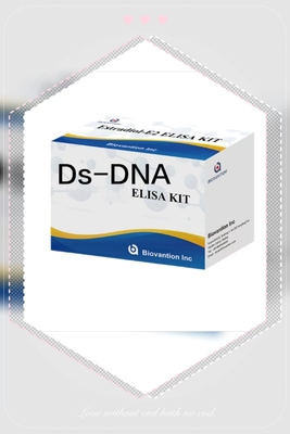 Zestaw badawczy ELISA IgG anty-Ds-DNA antyciało anty-dwukrotnanowe