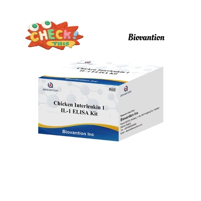 IL 1 Zestaw badawczy ELISA Interleukin-1 Serum ludzkie i Immunoanaliza plazmy