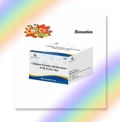 Zestaw badawczy PTH ELISA Serum immunosorbencyjne związane z enzymem z kurczaka