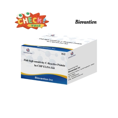 Hs-CRP IVD Elisa Test Ryby Wysoka wrażliwość białka C-reaktywnego Biovantion