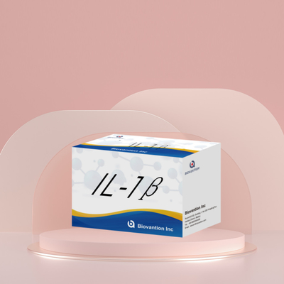 IL-1β Sensitive ELISA Kit do badań naukowych z wrażliwością 95% i 6 miesięcy