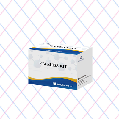 FT4 Elisa Kit z 95% wrażliwością na badany czynnik in vitro do stosowania u ludzi