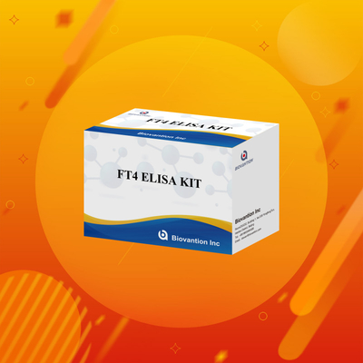 FT4 Elisa Kit z 95% wrażliwością na badany czynnik in vitro do stosowania u ludzi