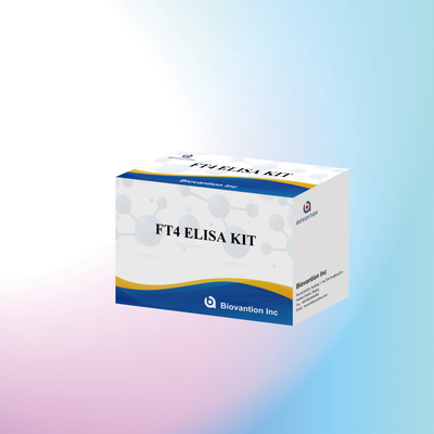 TOXO IgM IgG igg igg igm ELISA kit do testowania reagentu diagnostycznego stosowanego u ludzi z 96 zestawami