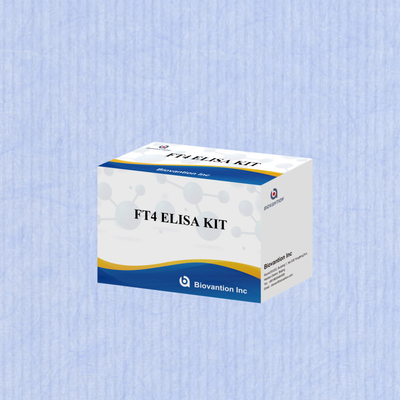 TOXO IgM IgG igg igg igm ELISA kit do testowania reagentu diagnostycznego stosowanego u ludzi z 96 zestawami