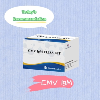 Test ELISA jakościowy IgM makrofagów IVD Zestaw eksperymentalny Wysoka wrażliwość