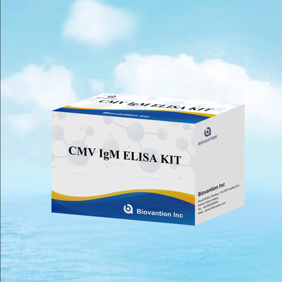 Test ELISA jakościowy IgM makrofagów IVD Zestaw eksperymentalny Wysoka wrażliwość