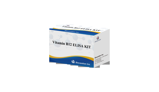 Witamina B1 Elisa Test Kit Badanie na zwierzętach produktu związanego z enzymem