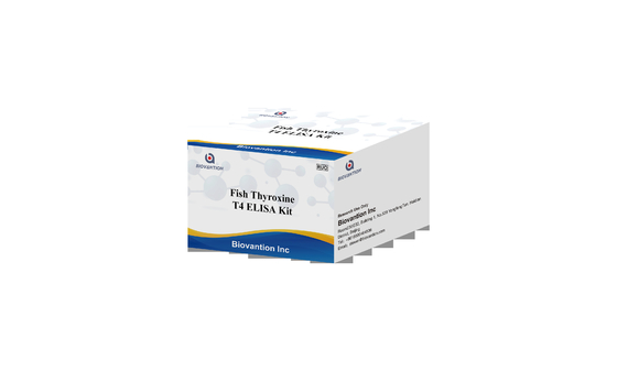 Powszechnie stosowany zestaw badawczy hormonów tarczycy T4 Triiodotyronina ELISA