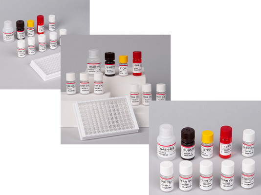 Laboratorium lub szpital Wysokiej Precyzji Human Ferritin FE ELISA TEST KIT