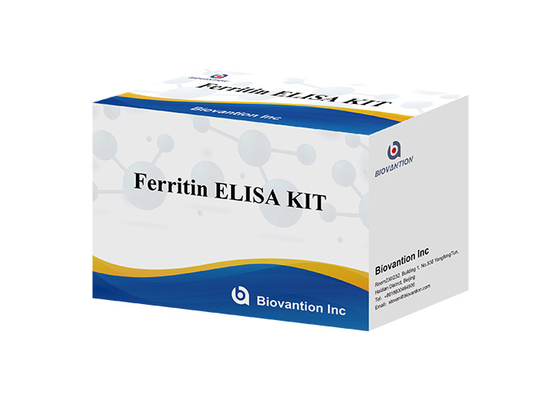 Laboratorium lub szpital Wysokiej Precyzji Human Ferritin FE ELISA TEST KIT