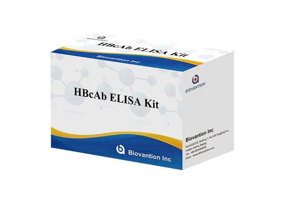 Gorąco sprzedawany reagent diagnostyczny do stosowania u ludzi z 96 badaniem przeciwciał Hbc HBcAb Elisa Kit