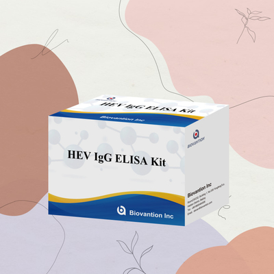 Reagent diagnostyczny HEV-IgG do diagnostyki i analizy