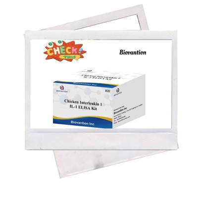 IL 1 Zestaw badawczy ELISA Interleukin-1 Serum ludzkie i Immunoanaliza plazmy