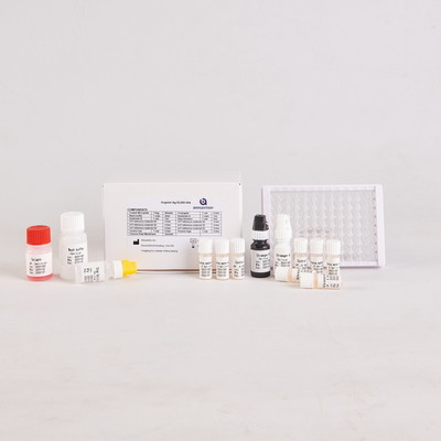 Do laboratorium lub szpitala zestaw badawczy H.Pylori IgG Elisa o wysokiej dokładności