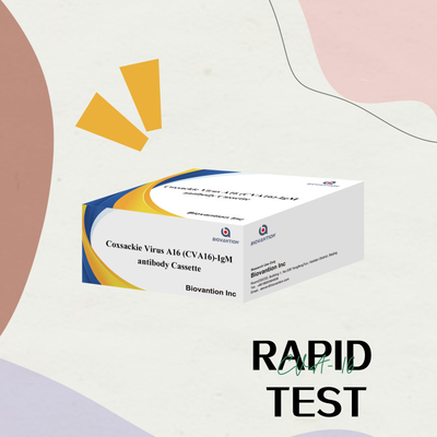 CVA16 Reagens diagnostyczny IVD Wirus Coxsackie A16 CVA16-IgM Kaseta przeciwciał WB/S/P Kolloidal Gold Rapid Test